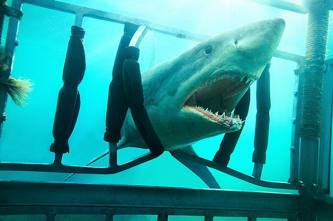 Tiburón 3D: La presa - De la película