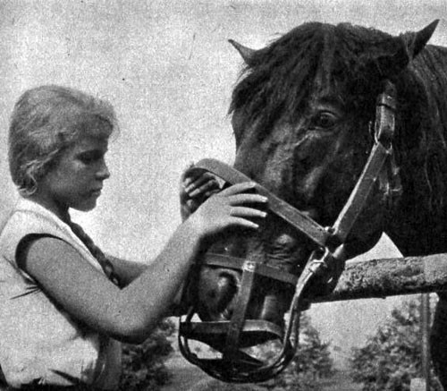 La Petite Fille et le cheval - Film - Jorga Kotrbová