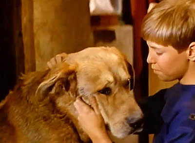 A Dog of Flanders - Van film - David Ladd
