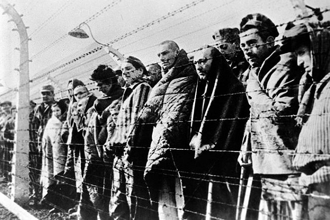 Die Befreiung von Auschwitz - Van film