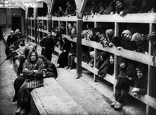 The Liberation of Auschwitz - Photos
