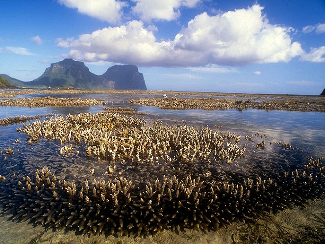 Lord Howe Island Paradies am Ende der Welt - Filmfotók