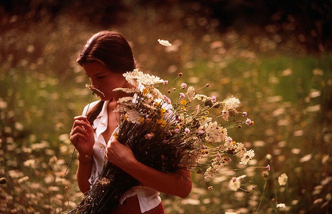 Koskematon kauneus - Kuvat elokuvasta - Liv Tyler