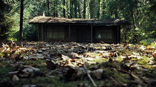 La cabaña en el bosque - De la película