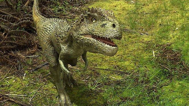 Tarbosaurus 3D - Photos