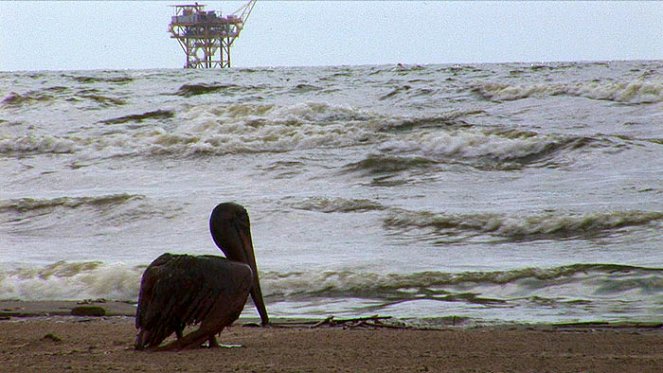 Saving Pelican 895 - De la película