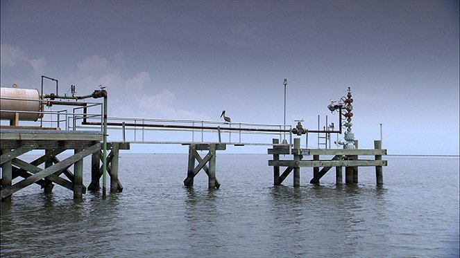 A 895. pelikán - Filmfotók