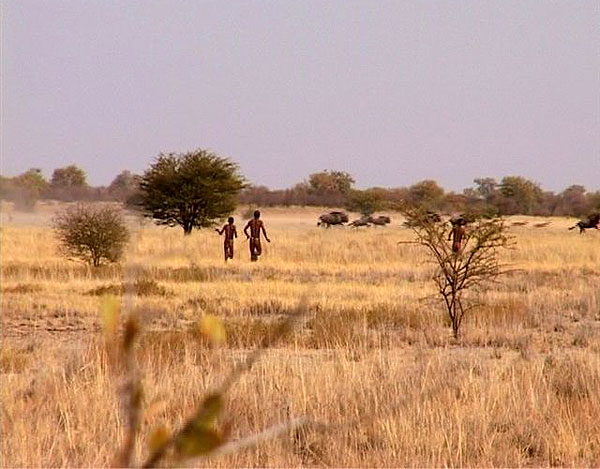 The Tale of the Bushmen - Photos
