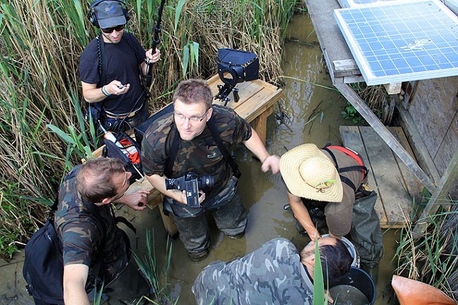 Ptačí paparazzi - Z filmu