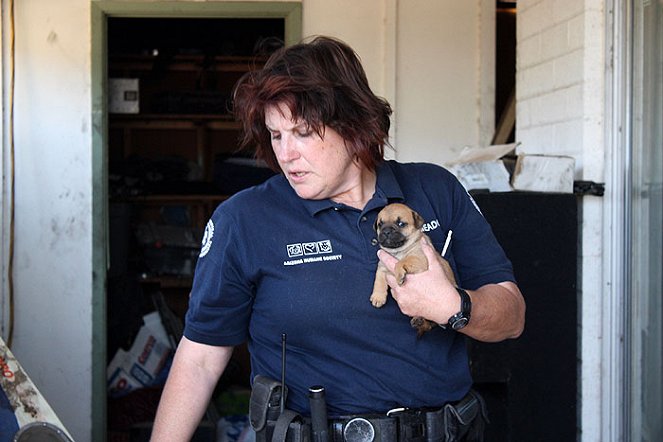 Animal Cops: Phoenix - Photos