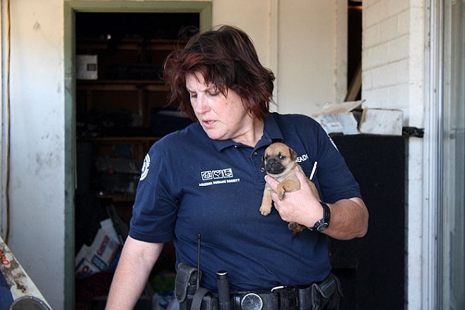 Tierpolizei Phoenix - Filmfotos