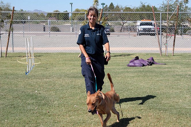 Animal Cops: Phoenix - Photos