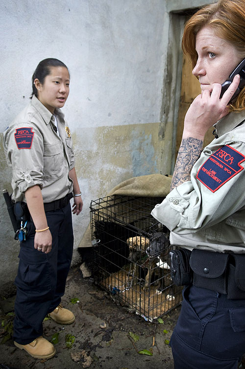 Állatrendőrség Philadelphiában - Filmfotók