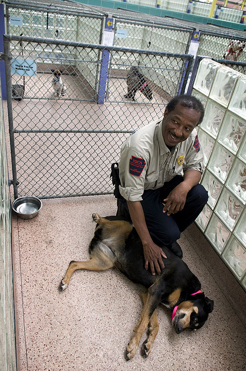 Animal Cops: Philadelphia - Kuvat elokuvasta