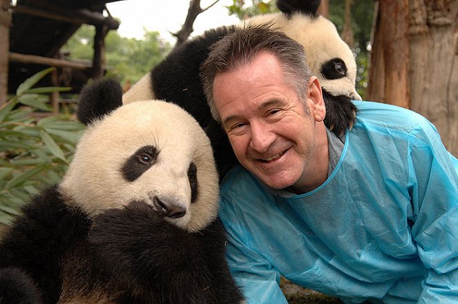 Panda week with Nigel Marven: Panda Adventures - Film - Nigel Marven