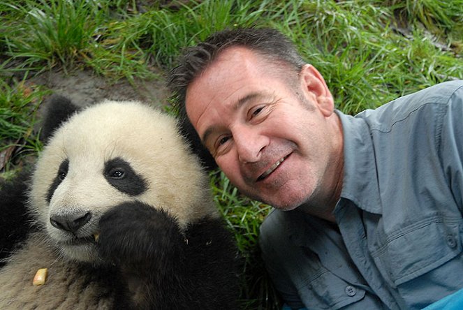Panda week with Nigel Marven: Panda Adventures - Photos - Nigel Marven