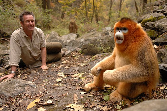 Panda week with Nigel Marven: Panda Adventures - Filmfotók - Nigel Marven