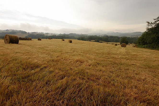 Wild France - Photos