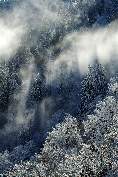 Wild France - Photos