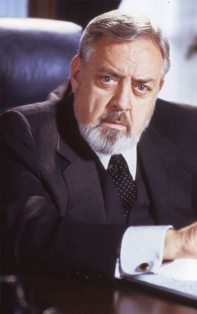 Perry Mason: The Case of the Fatal Framing - Film - Raymond Burr