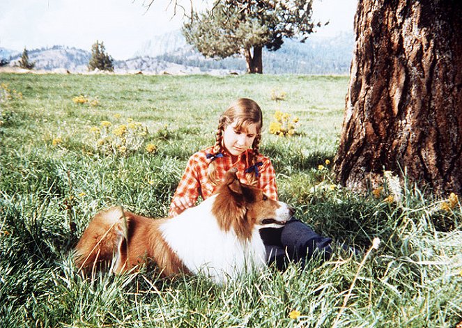 Lassie: Joyous Sound - Photos