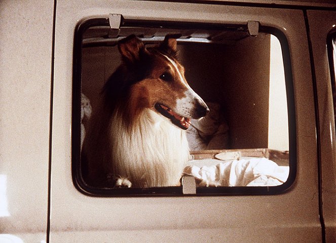 Lassie: Joyous Sound - Film