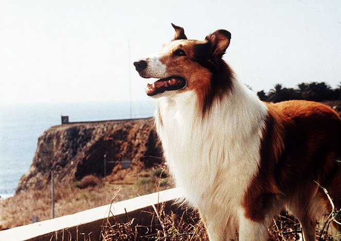 Lassie - Hlas naděje - Z filmu