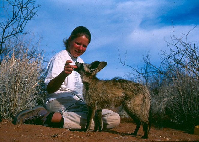 Psi ušatí z Namibie - Z filmu