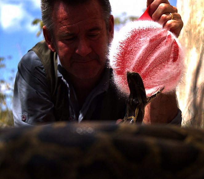 Invasion of the Giant Pythons: Florida with Nigel Marven - Van film - Nigel Marven