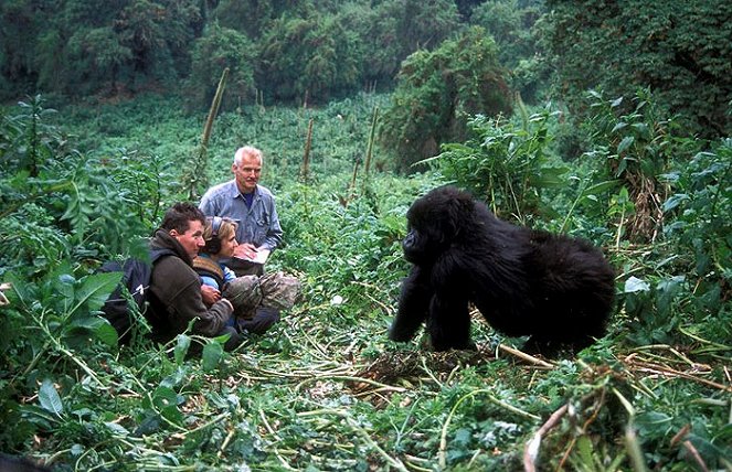 The Gorillas of My Grandfather - Z filmu
