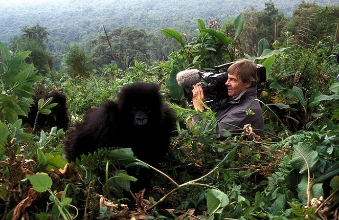 Die Gorillas meines Großvaters - Filmfotos