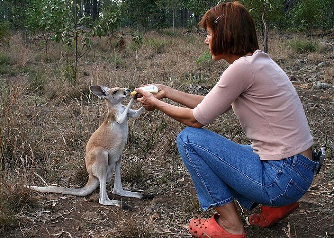 Wildlife Nannies - Do filme