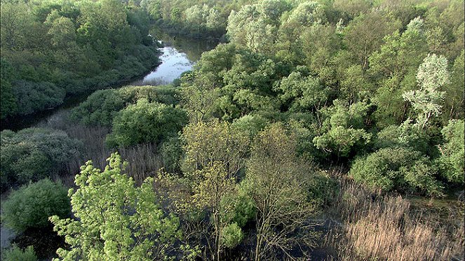 Universum: Fluss ohne Grenzen - Auenwildnis an der March - Do filme