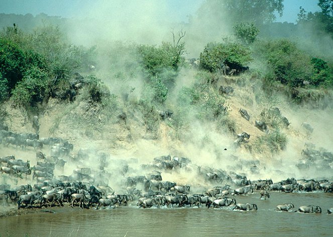 Mara: River of Death - De la película