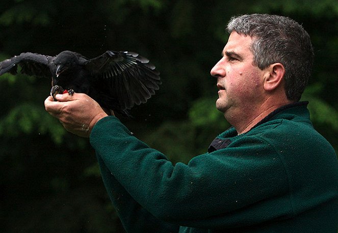 A Murder of Crows - Filmfotos