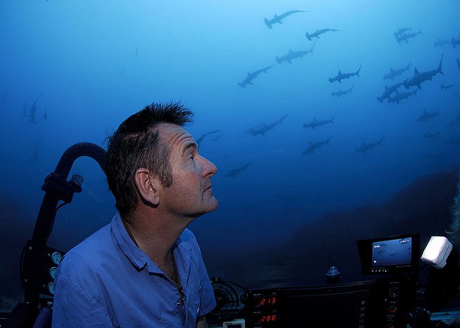 Nigel Marven's Shark Island - Filmfotos - Nigel Marven