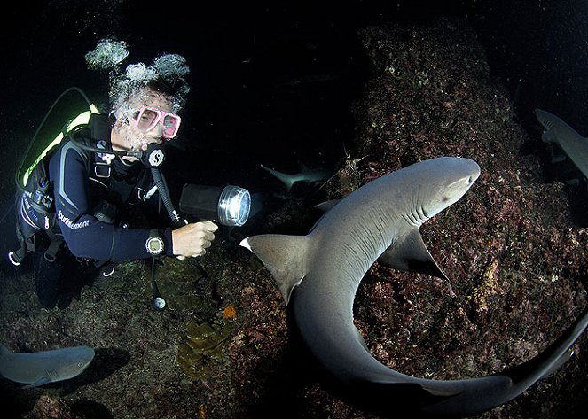 Nigel Marven's Shark Island - Photos - Nigel Marven