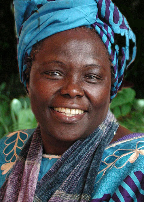 Kořeny: Vize Wangari Maathaiové - Z filmu