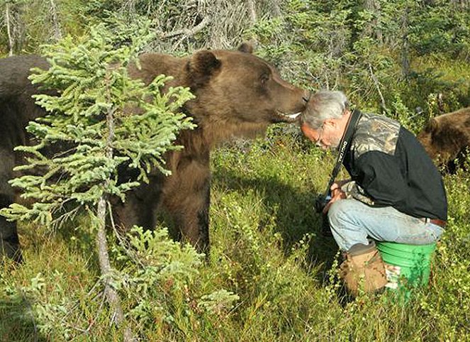 The Man Who Lives With Bears - Do filme
