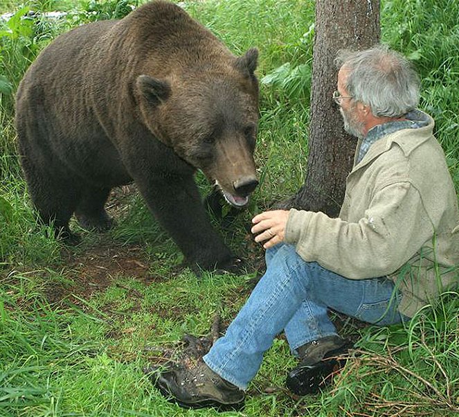 Muž, který žije s medvědy - Z filmu