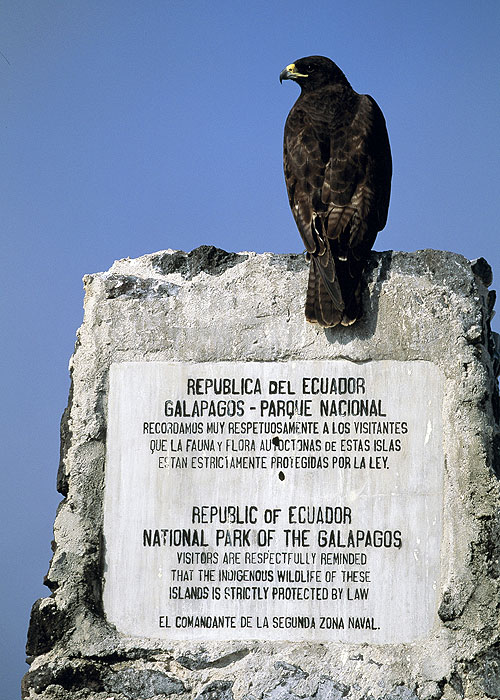 Lonesome George and the Battle for Galápagos - De la película