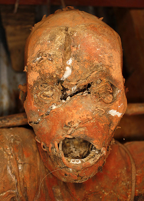 Lost Mummies of Papua New Guinea - De la película