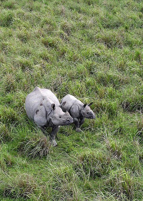 Nigel Marven´s Rhino Adventure - Photos
