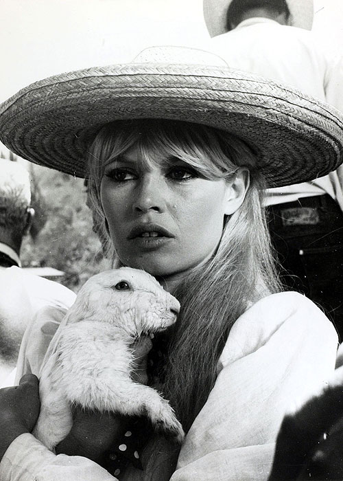 Brigitte Bardotová: Ikona Francie - Z filmu - Brigitte Bardot
