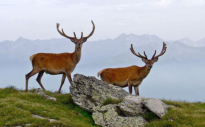 Magic of the Mountains - Do filme