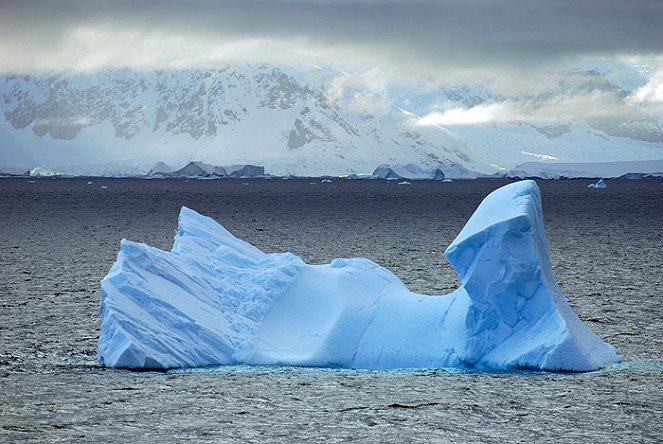 Ice Patrol - Photos