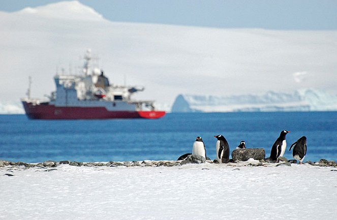 Ice Patrol - Photos