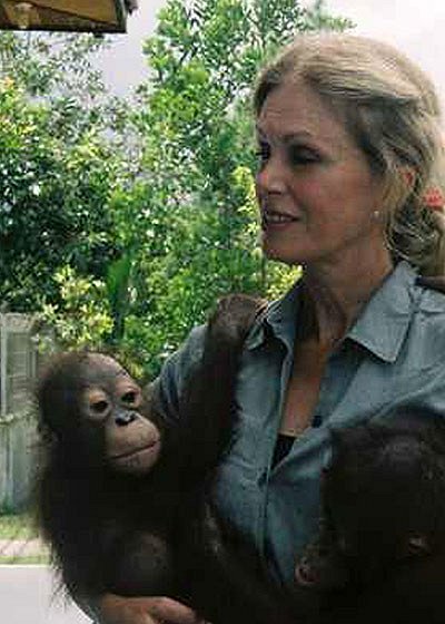 Final Chance to Save: Orangutans with Joanna Lumley - Filmfotos - Joanna Lumley