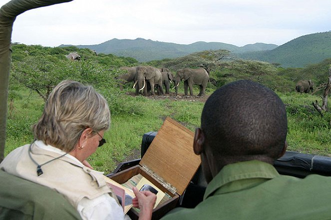 Echo and the Elephants of Amboseli - Photos