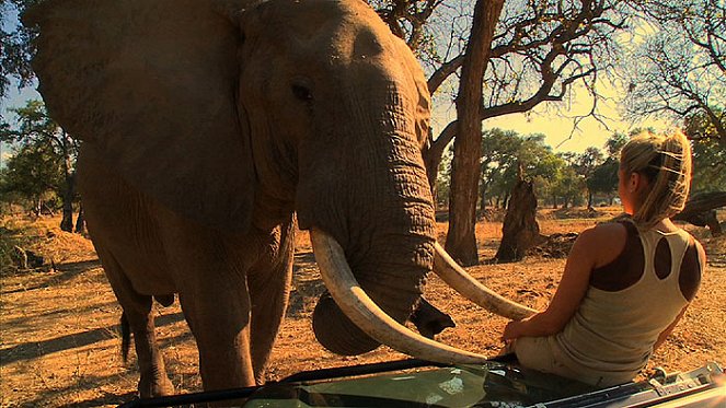 Karina: Wild on Safari - Filmfotos